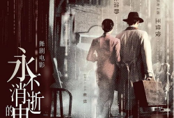 永不消逝的电波电视剧,烽火岁月里的忠诚与爱情